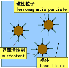 Magnetic